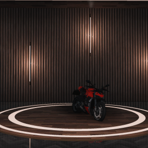 DUCATI STREETFIGHTER